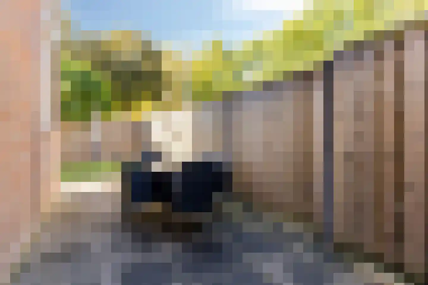 Zwaanstraat 56 Duiven thumbnail 35