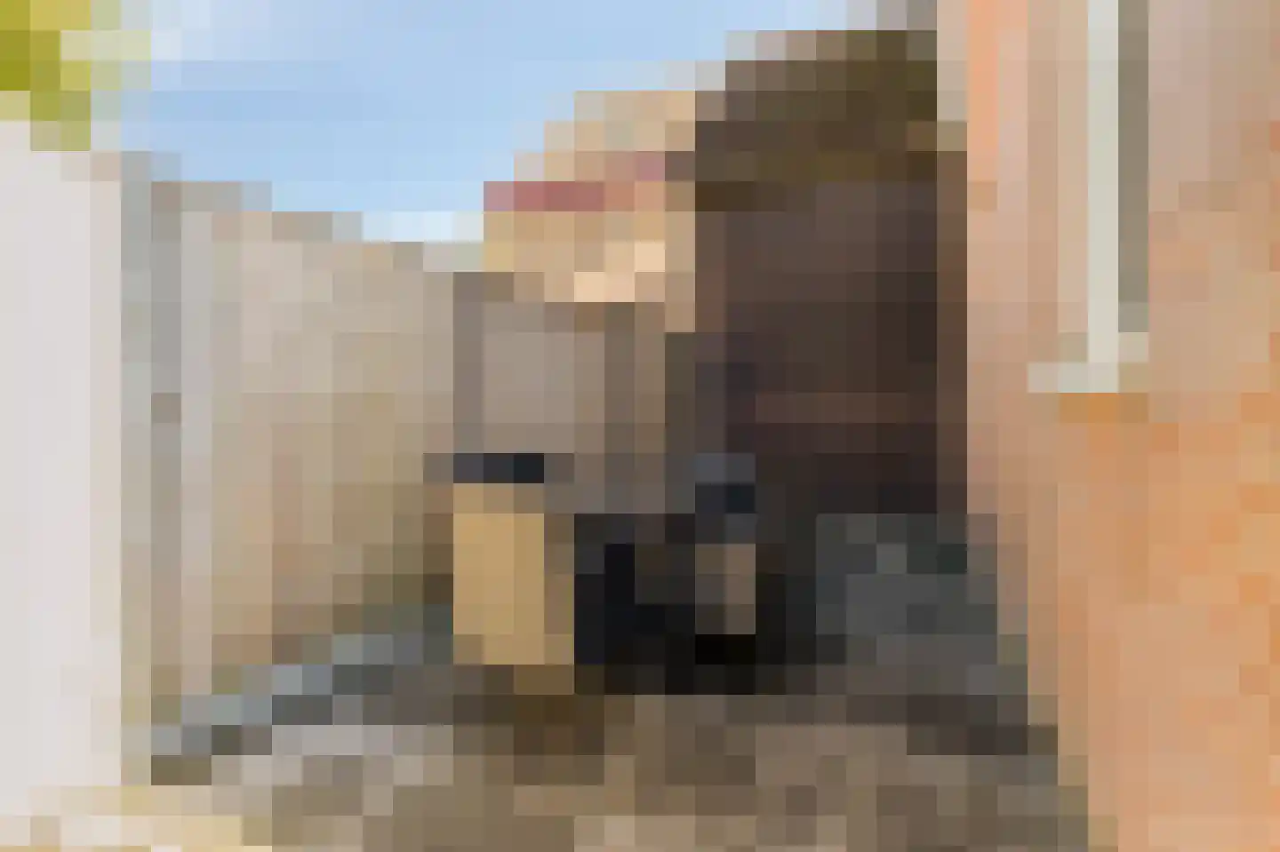Zwaanstraat 56 Duiven thumbnail 36