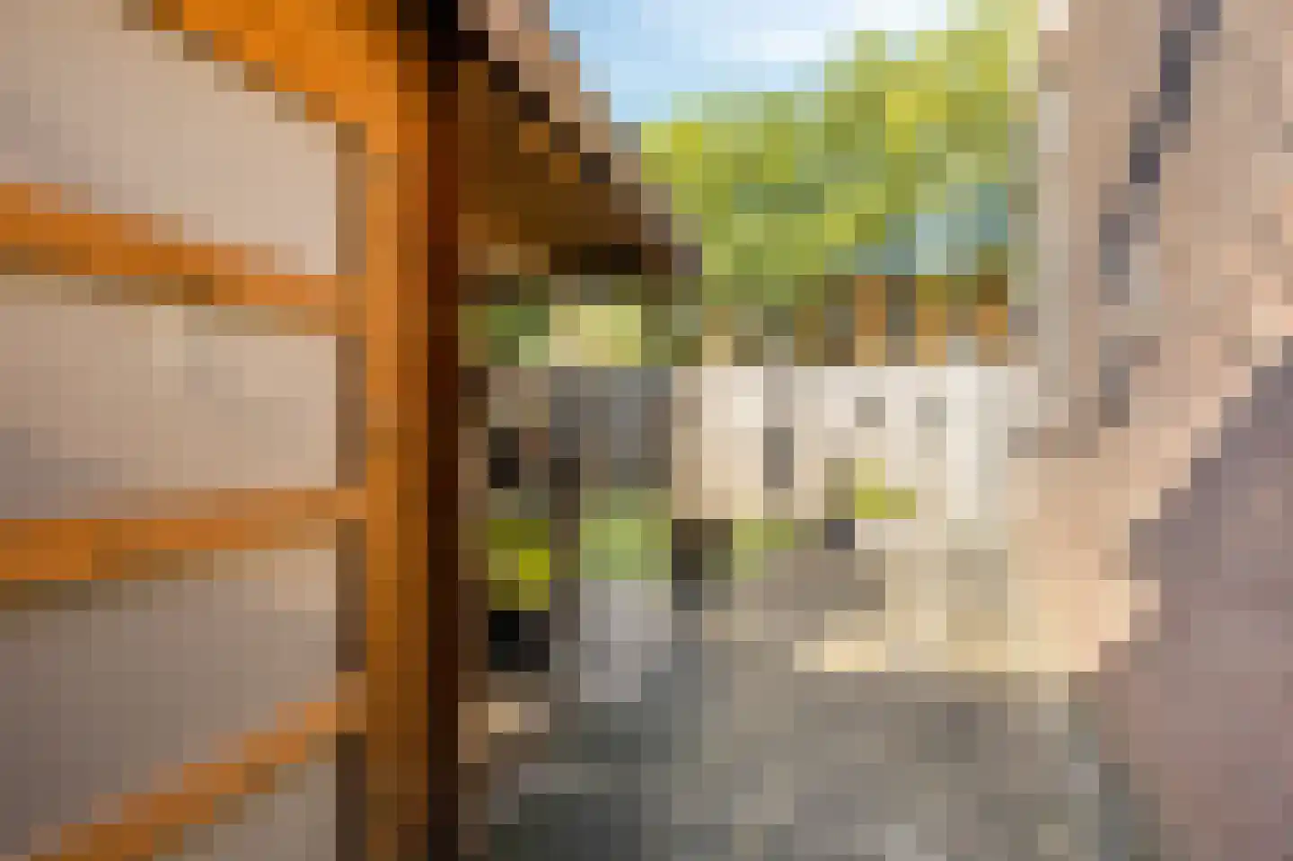 Zwaanstraat 56 Duiven thumbnail 44