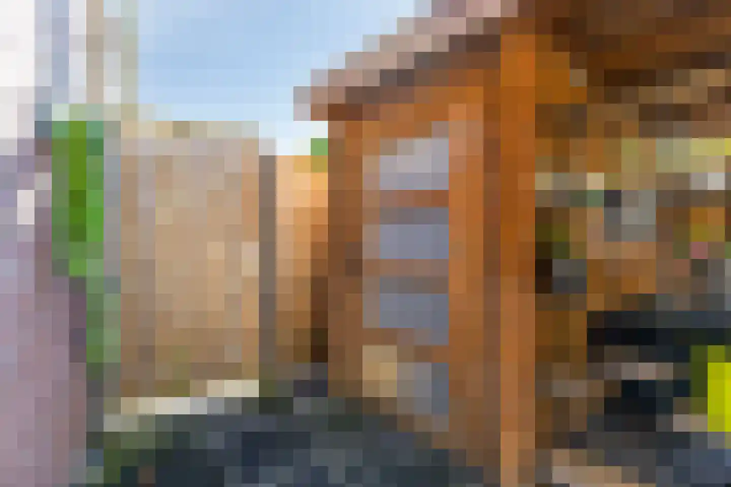 Zwaanstraat 56 Duiven thumbnail 45