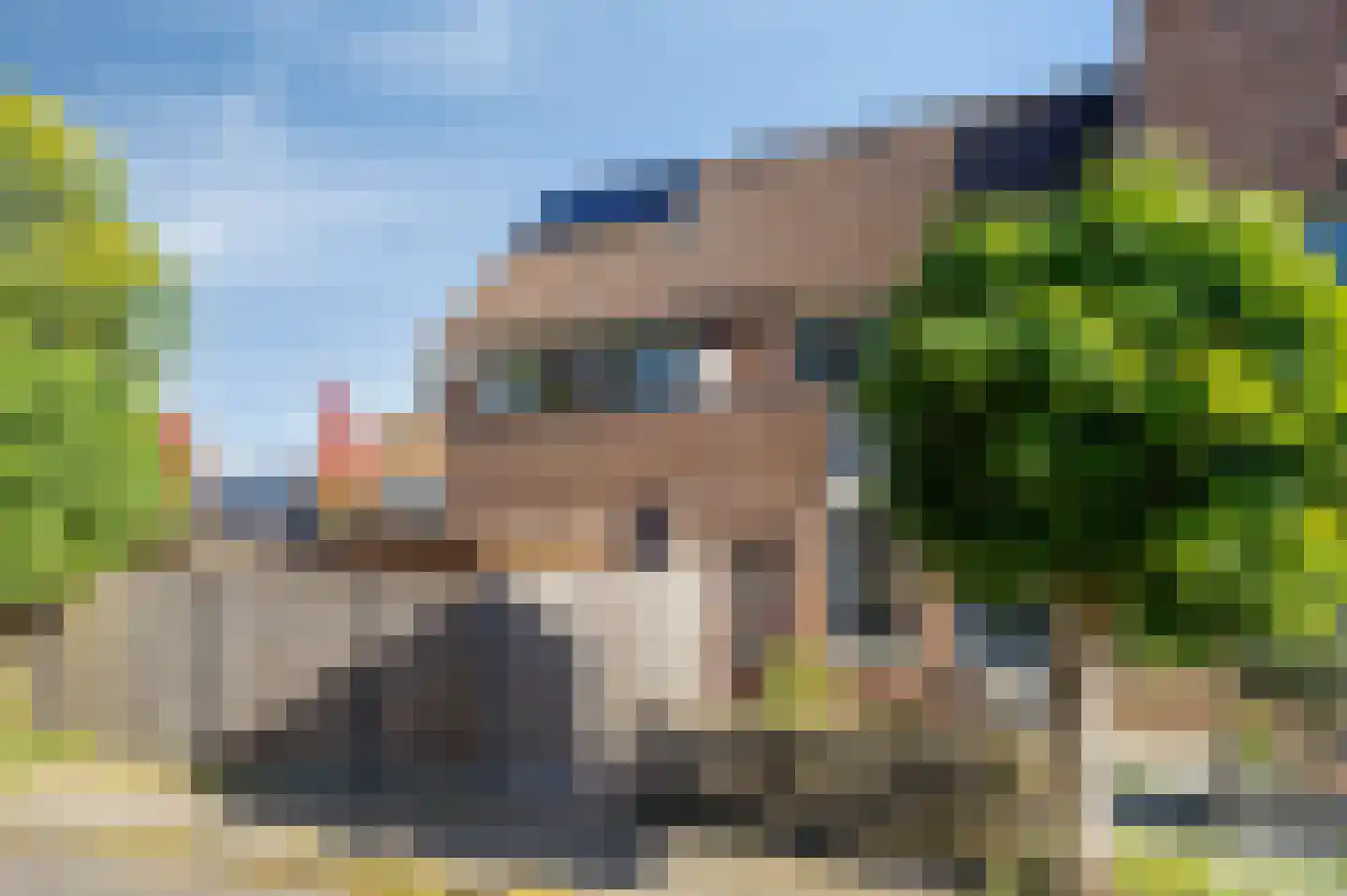 Zwaanstraat 56 Duiven thumbnail 46