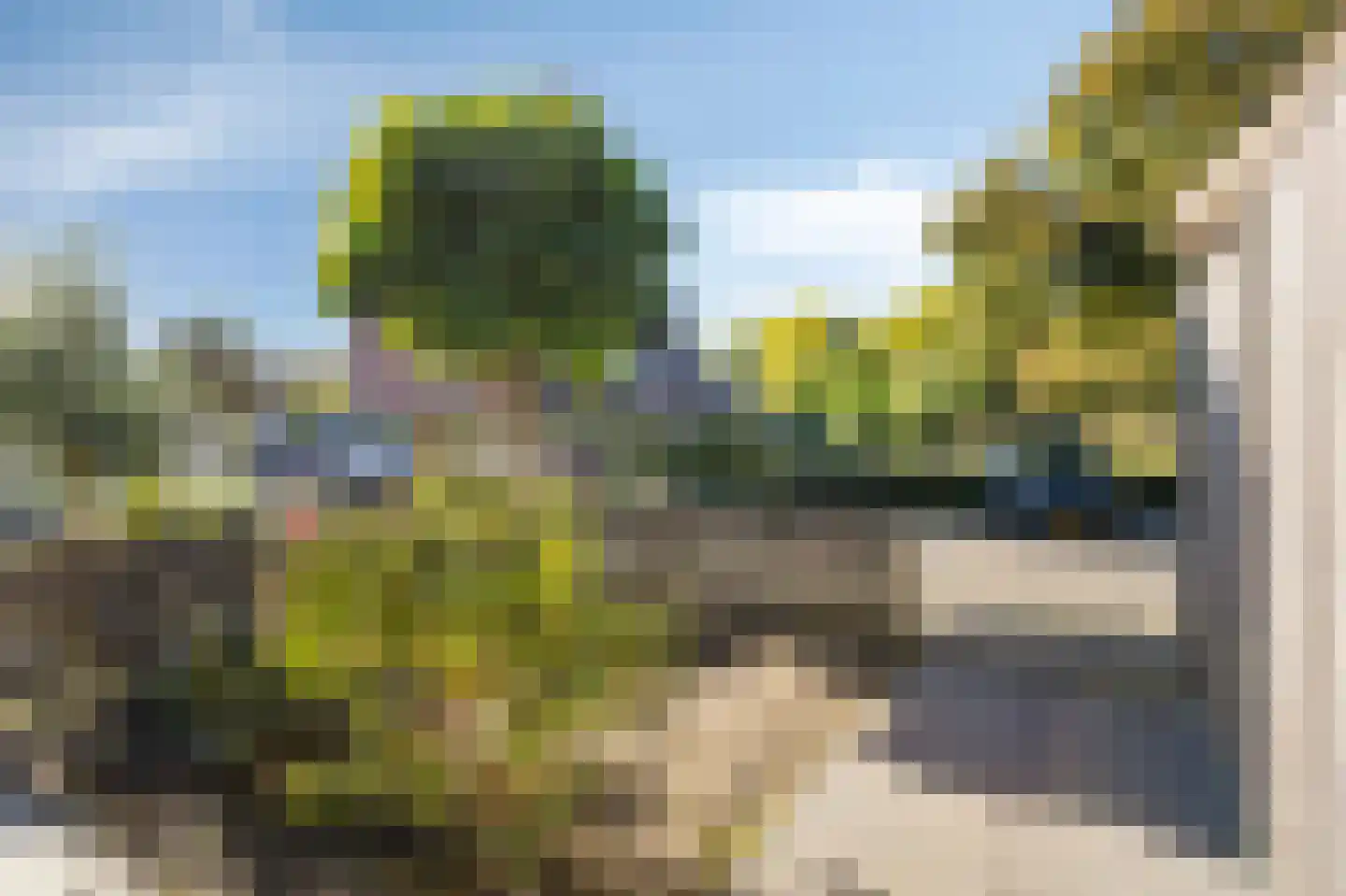 Zwaanstraat 56 Duiven thumbnail 49