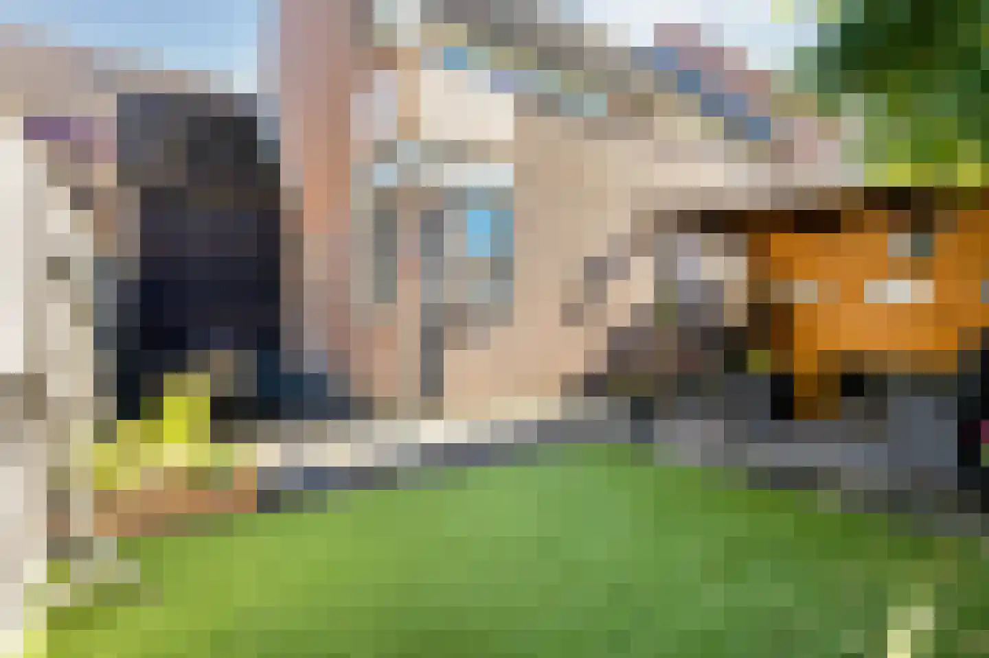 Zwaanstraat 56 Duiven thumbnail 5