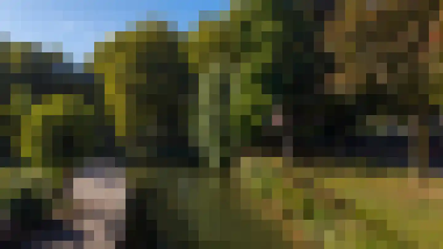 Zwaanstraat 56 Duiven thumbnail 54
