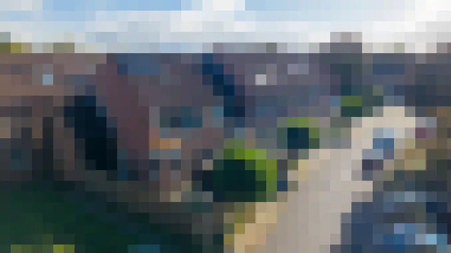 Zwaanstraat 56 Duiven thumbnail 6