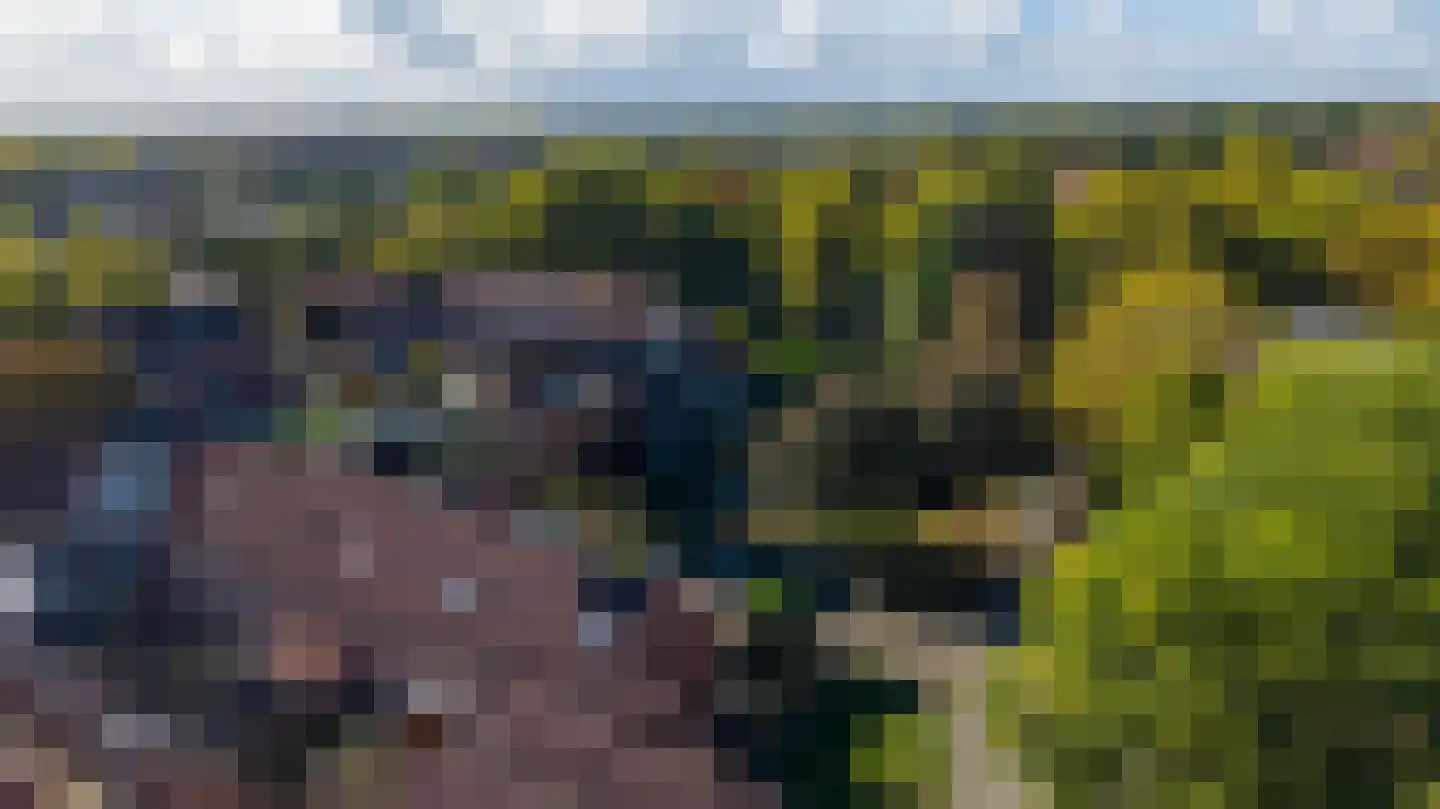 Zwaanstraat 56 Duiven thumbnail 7