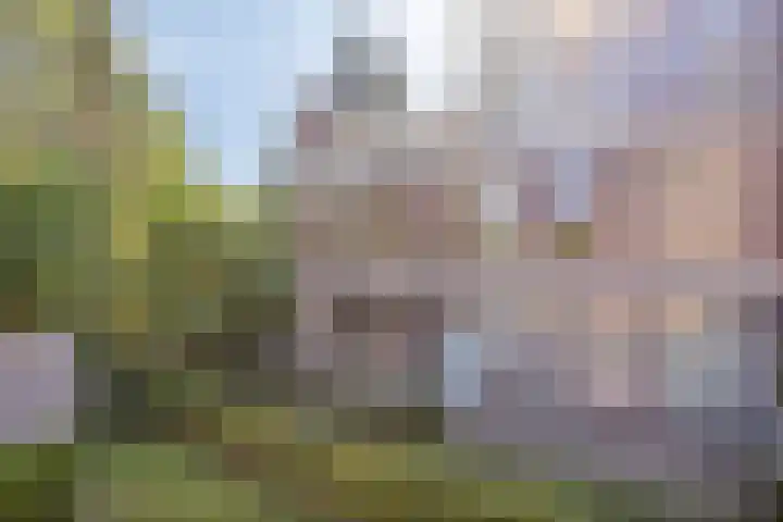 Zwaanstraat 64 Cuijk thumbnail 22