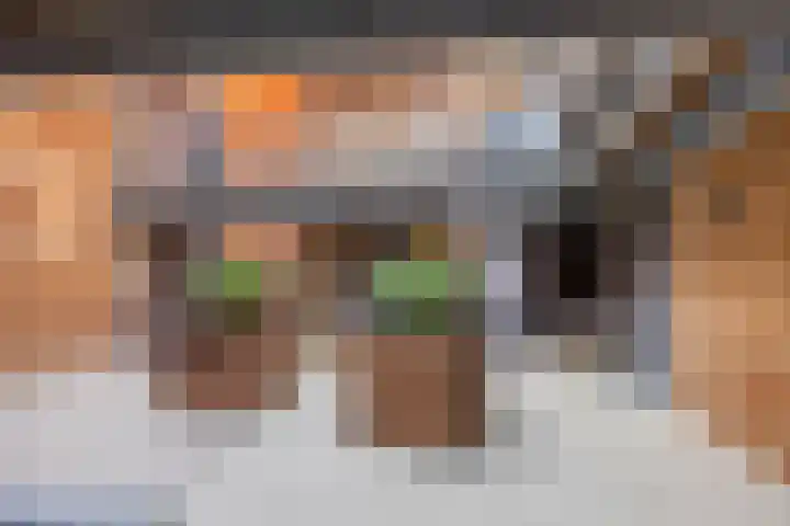 Zwaanstraat 64 Cuijk thumbnail 9