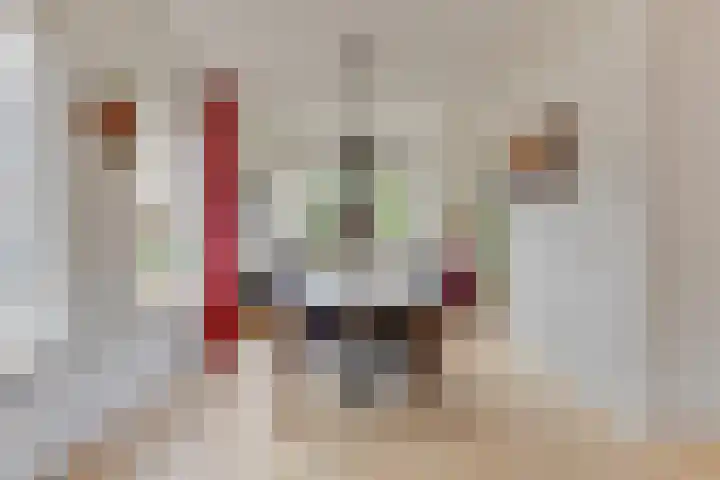 Zwaanstraat 8 Groet thumbnail 11