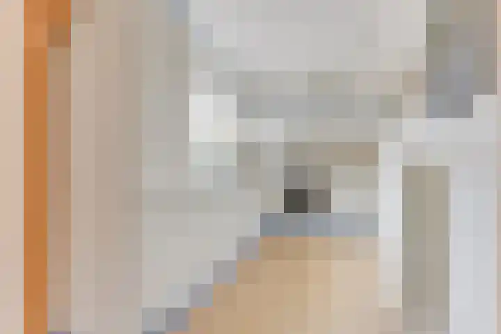 Zwaanstraat 8 Groet thumbnail 13