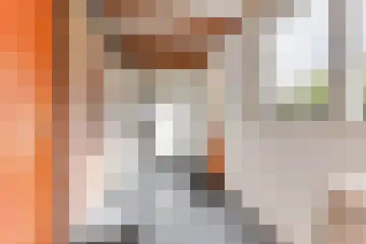 Zwaanstraat 8 Groet thumbnail 17