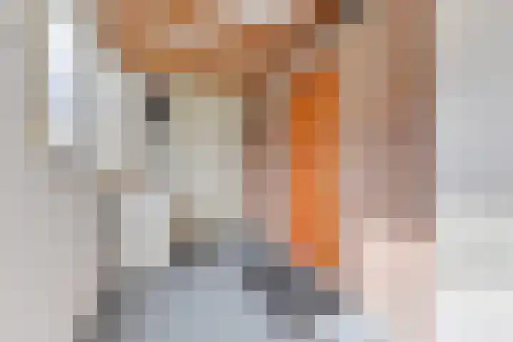 Zwaanstraat 8 Groet thumbnail 18