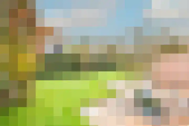 Zwaanstraat 8 Groet thumbnail 20