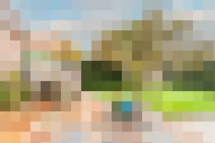 Zwaanstraat 8 Groet thumbnail 21