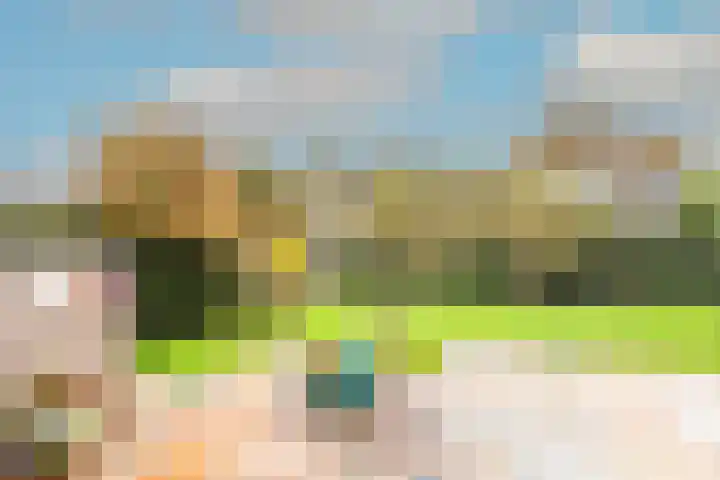 Zwaanstraat 8 Groet thumbnail 22