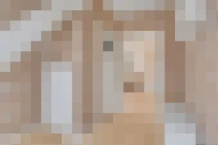Zwaanstraat 8 Groet thumbnail 25