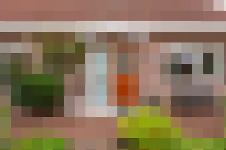 Zwaanstraat 8 Groet thumbnail 39