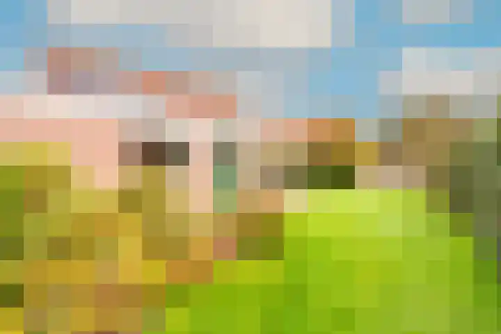 Zwaanstraat 8 Groet thumbnail 4