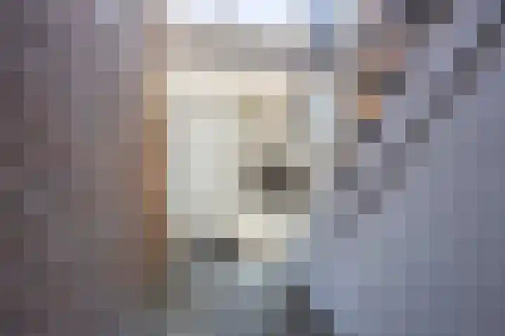 Zwaanstraat 9 Wormerveer thumbnail 26
