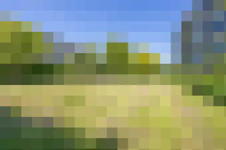 Zwaanstraat 9 Wormerveer thumbnail 30
