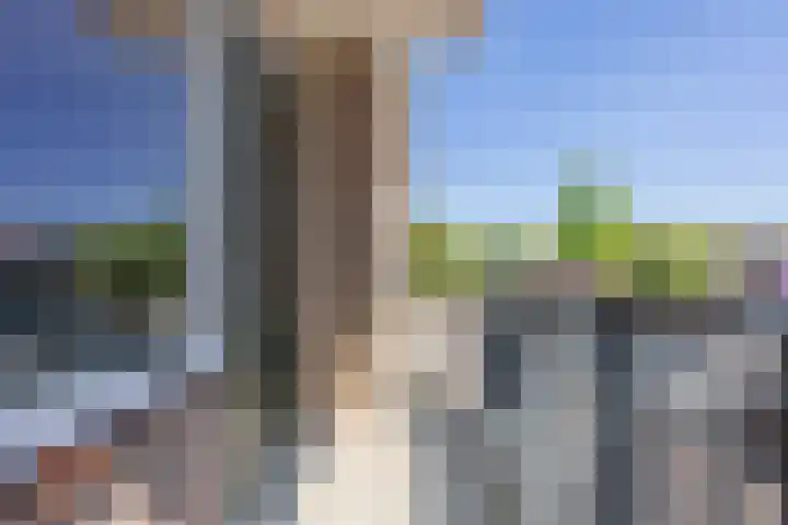 Zwaanstraat 9 Wormerveer thumbnail 4