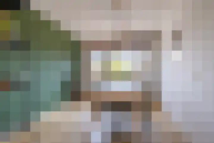 Zwaanstraat 9 Wormerveer thumbnail 8