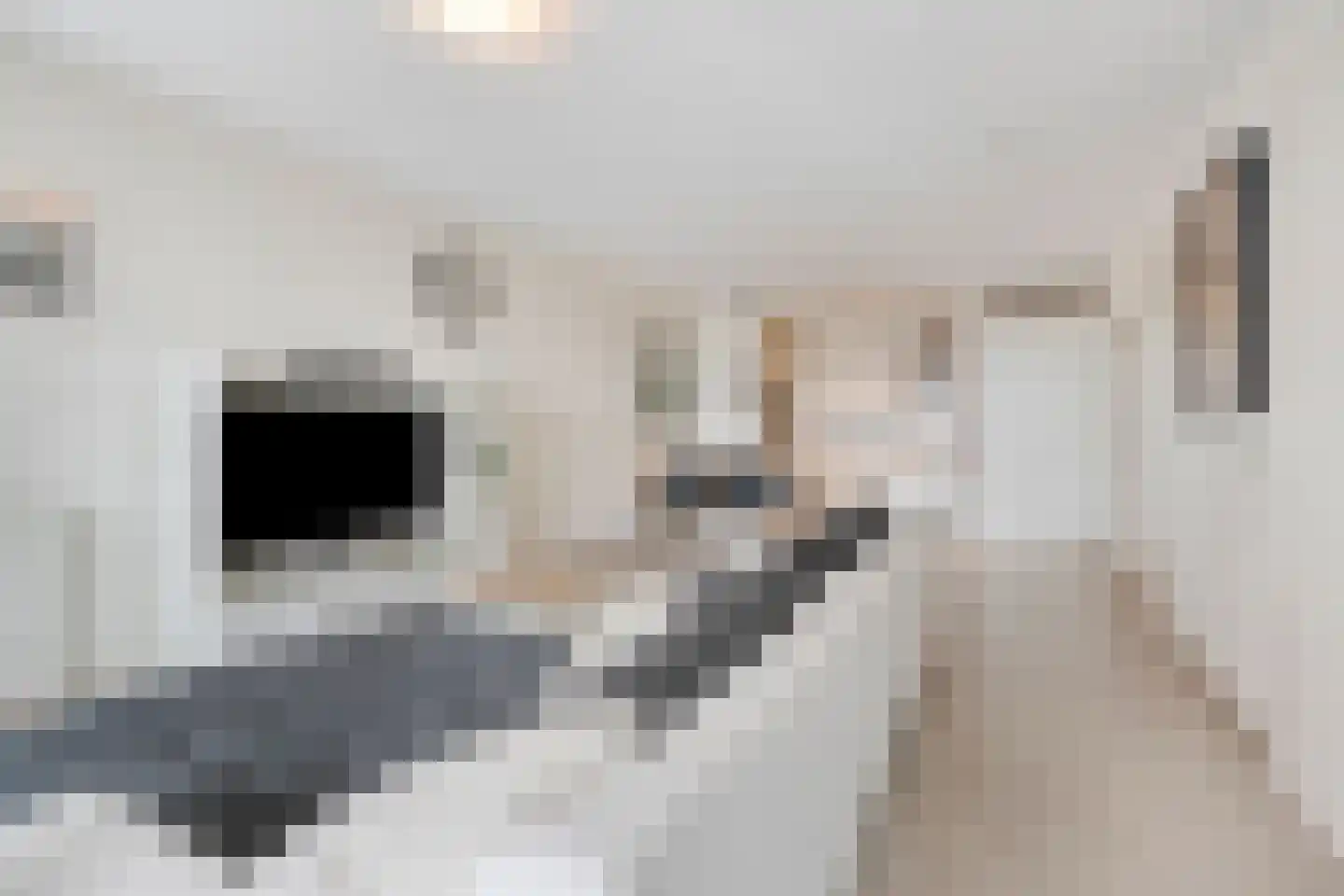 Zwaanstraat 92 Cuijk thumbnail 17