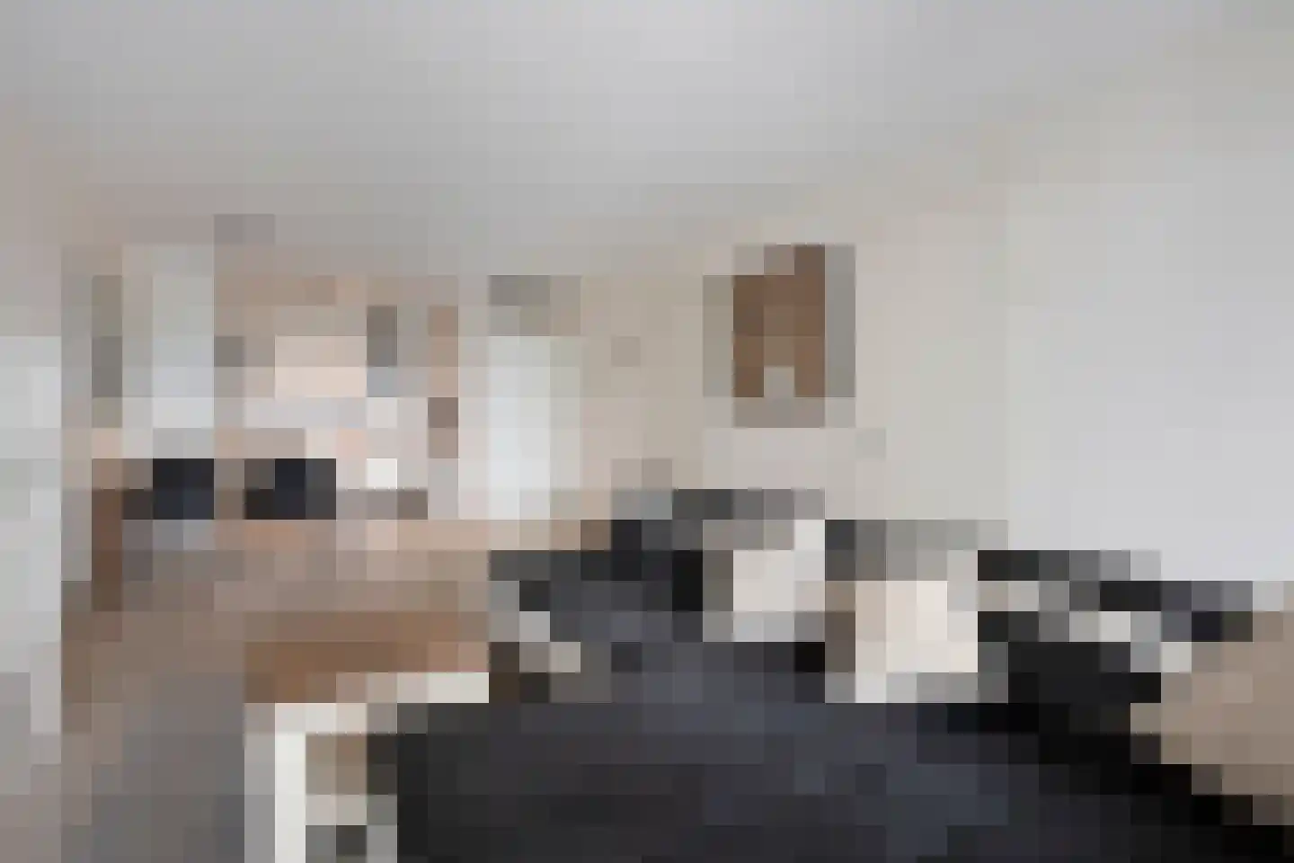 Zwaanstraat 92 Cuijk thumbnail 18