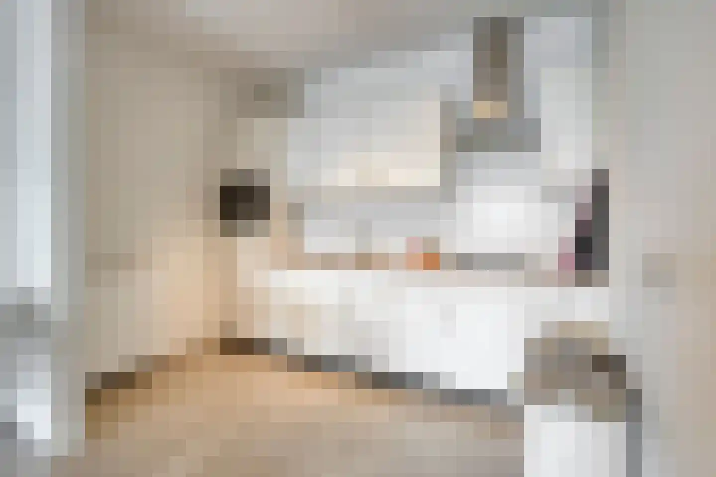 Zwaanstraat 92 Cuijk thumbnail 19