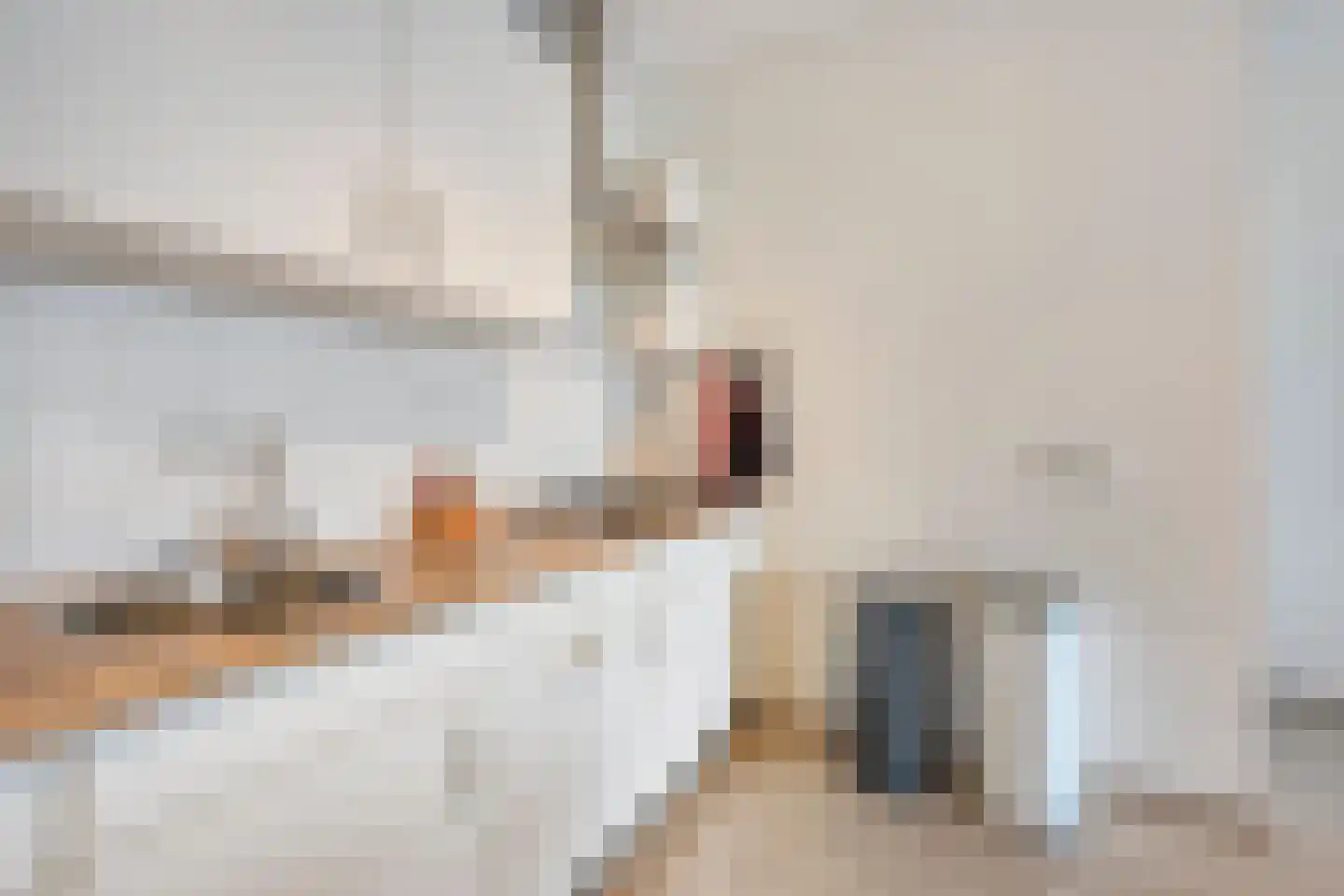 Zwaanstraat 92 Cuijk thumbnail 20