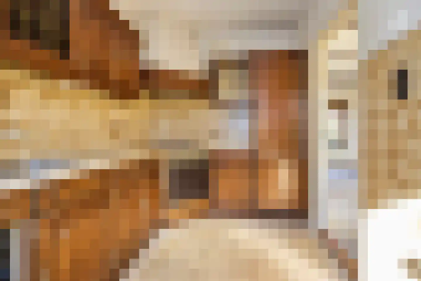 Zwaansvliet 5 Middenbeemster thumbnail 23