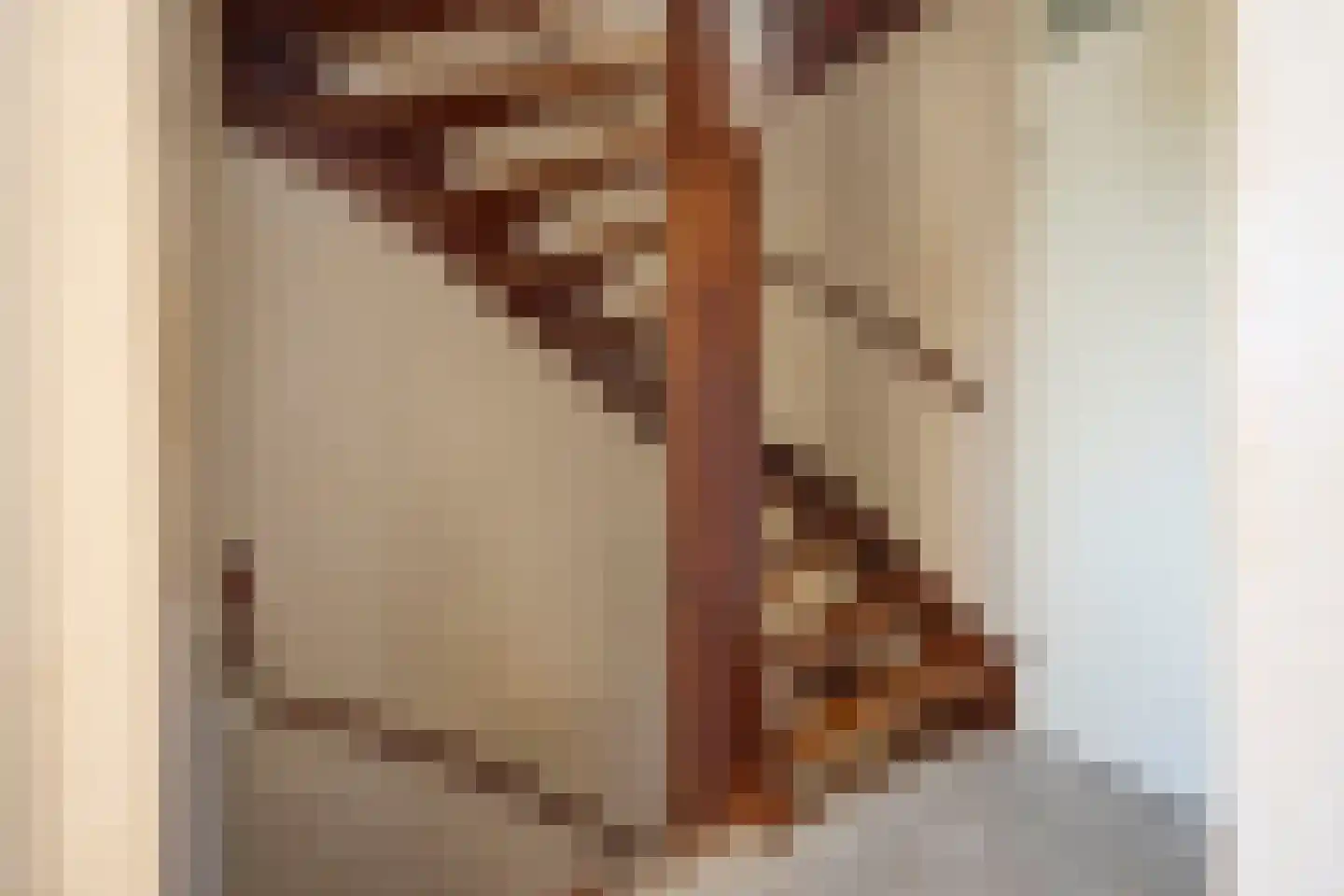 Zwaansvliet 5 Middenbeemster thumbnail 24