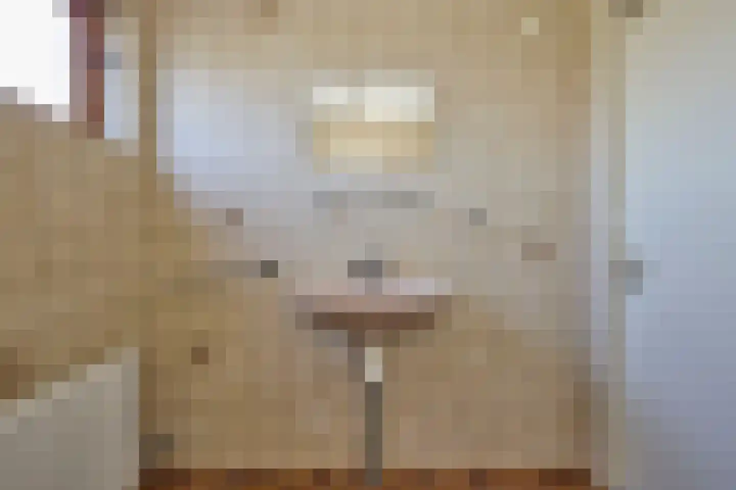 Zwaansvliet 5 Middenbeemster thumbnail 30
