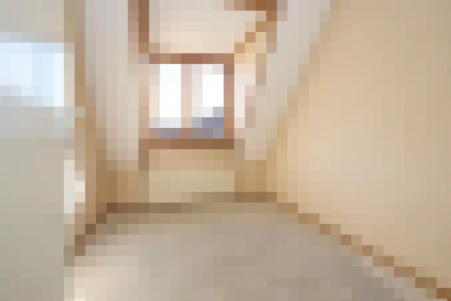 Zwaansvliet 5 Middenbeemster thumbnail 32