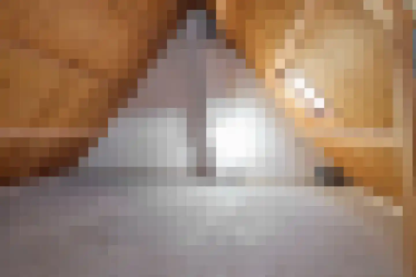 Zwaansvliet 5 Middenbeemster thumbnail 36