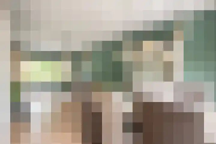 Zwaansvliet 6 Middenbeemster thumbnail 13
