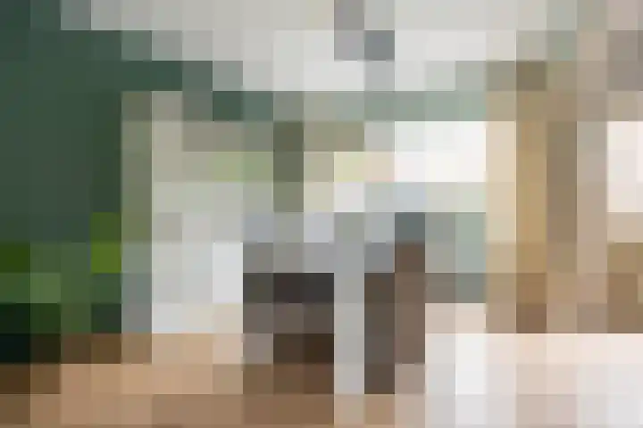 Zwaansvliet 6 Middenbeemster thumbnail 14