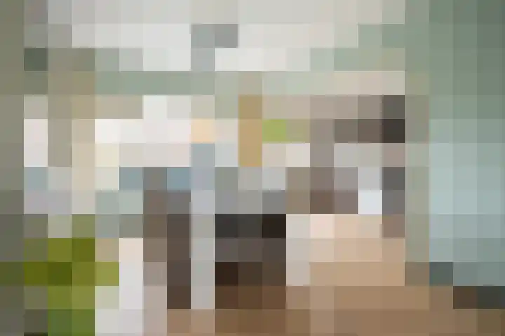 Zwaansvliet 6 Middenbeemster thumbnail 15