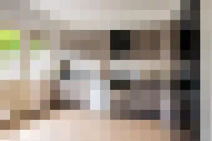 Zwaansvliet 6 Middenbeemster thumbnail 16