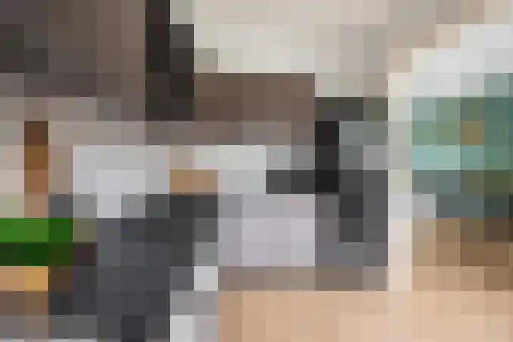 Zwaansvliet 6 Middenbeemster thumbnail 18