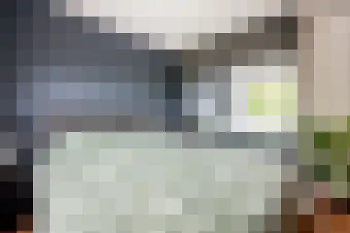 Zwaansvliet 6 Middenbeemster thumbnail 23
