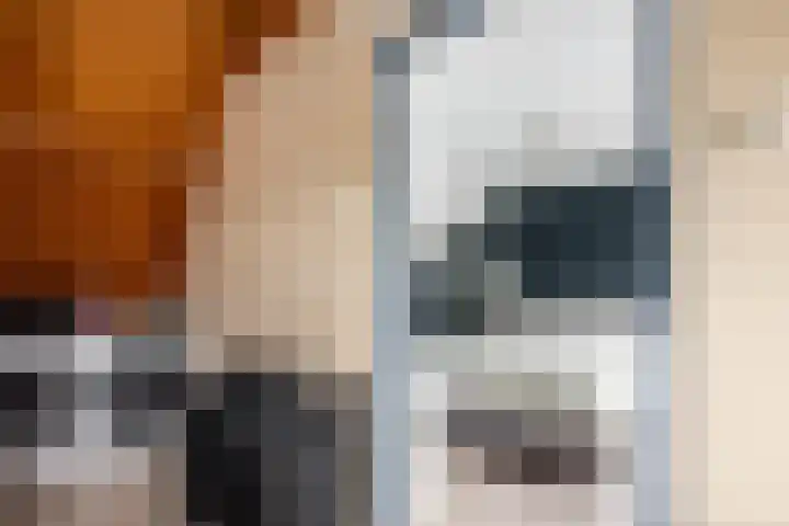 Zwaansvliet 6 Middenbeemster thumbnail 29