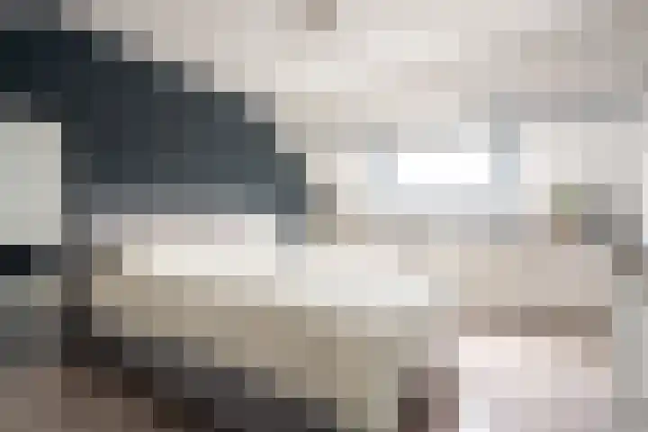 Zwaansvliet 6 Middenbeemster thumbnail 31