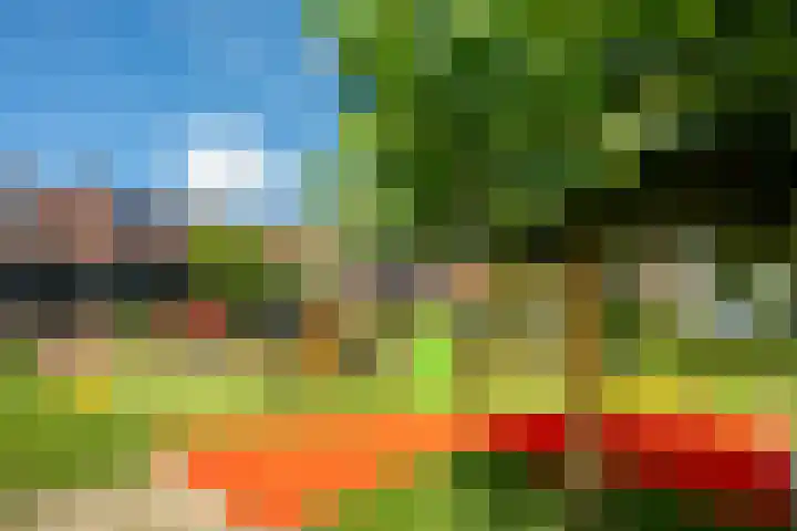Zwaansvliet 6 Middenbeemster thumbnail 37