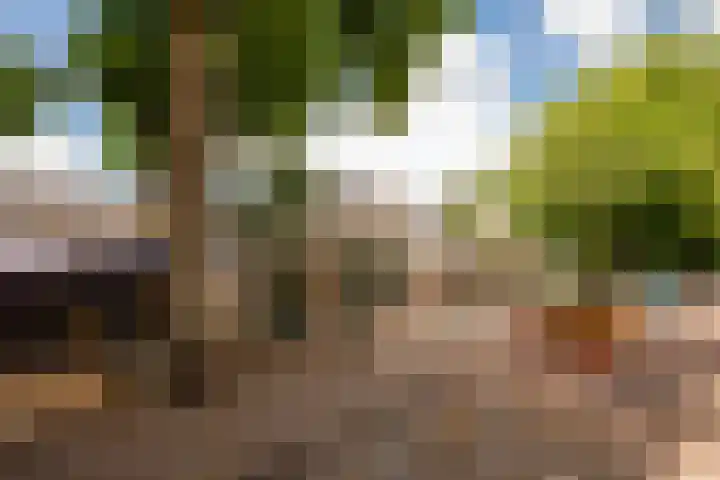 Zwaansvliet 6 Middenbeemster thumbnail 39