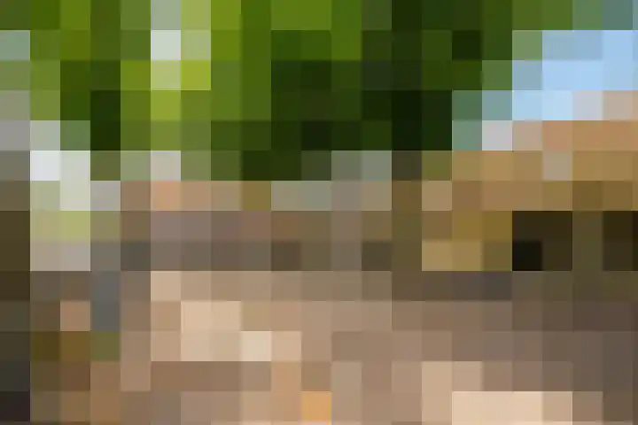 Zwaansvliet 6 Middenbeemster thumbnail 40