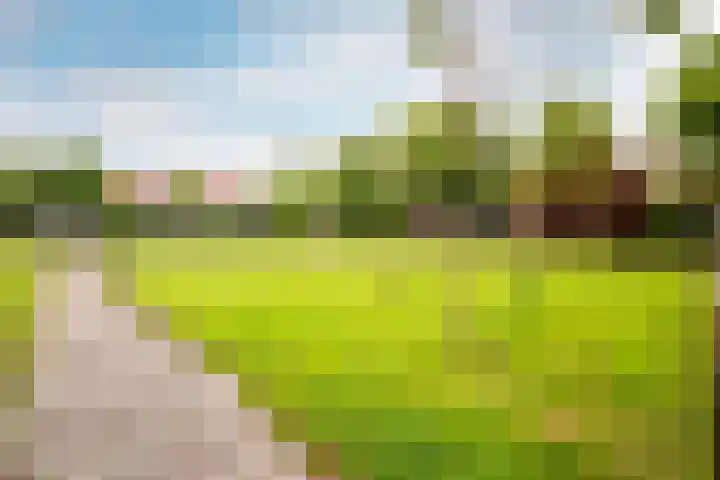 Zwaansvliet 6 Middenbeemster thumbnail 43