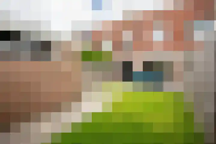 Zwaansvliet 6 Middenbeemster thumbnail 5