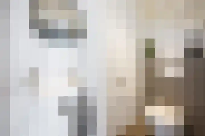 Zwaansvliet 6 Middenbeemster thumbnail 9