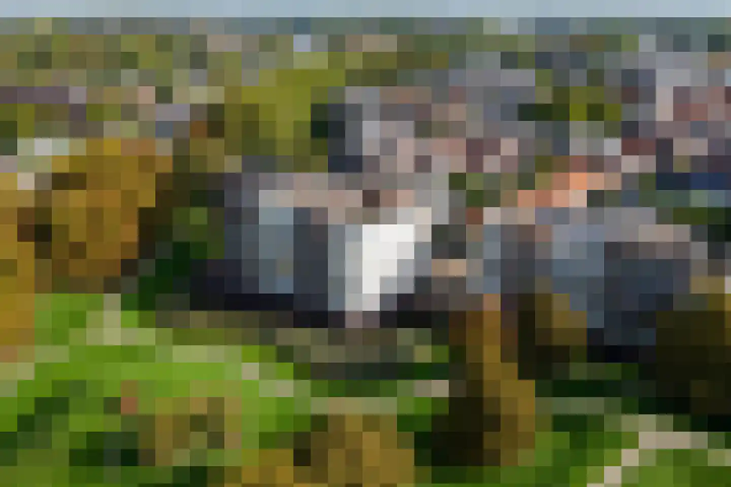 Zwaanswal 10 Gorinchem thumbnail 30